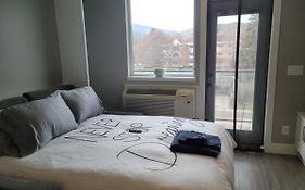 Cozy Studio Suite, 15Min Walk To Downtown